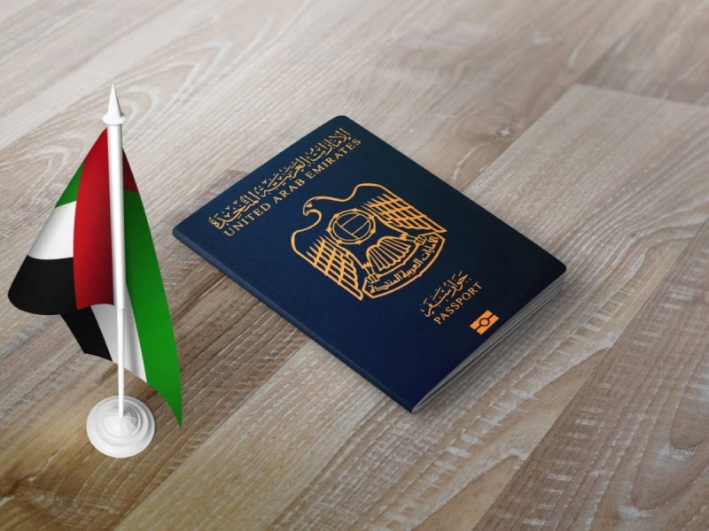 {title}